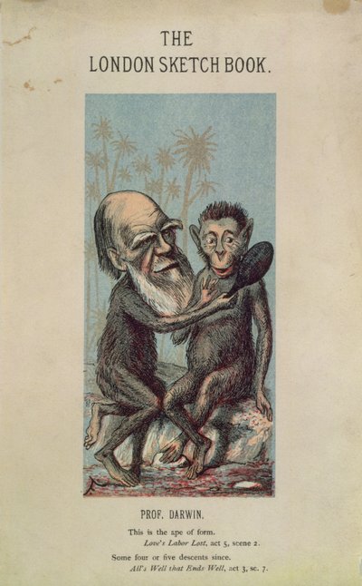 Cartoon of Darwin with an Ape, from The London Sketch Book, April 1874 by English School